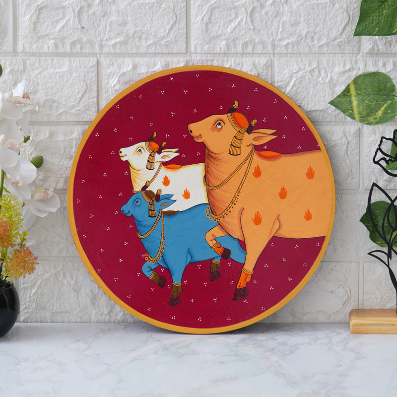 Chitran Product Photography